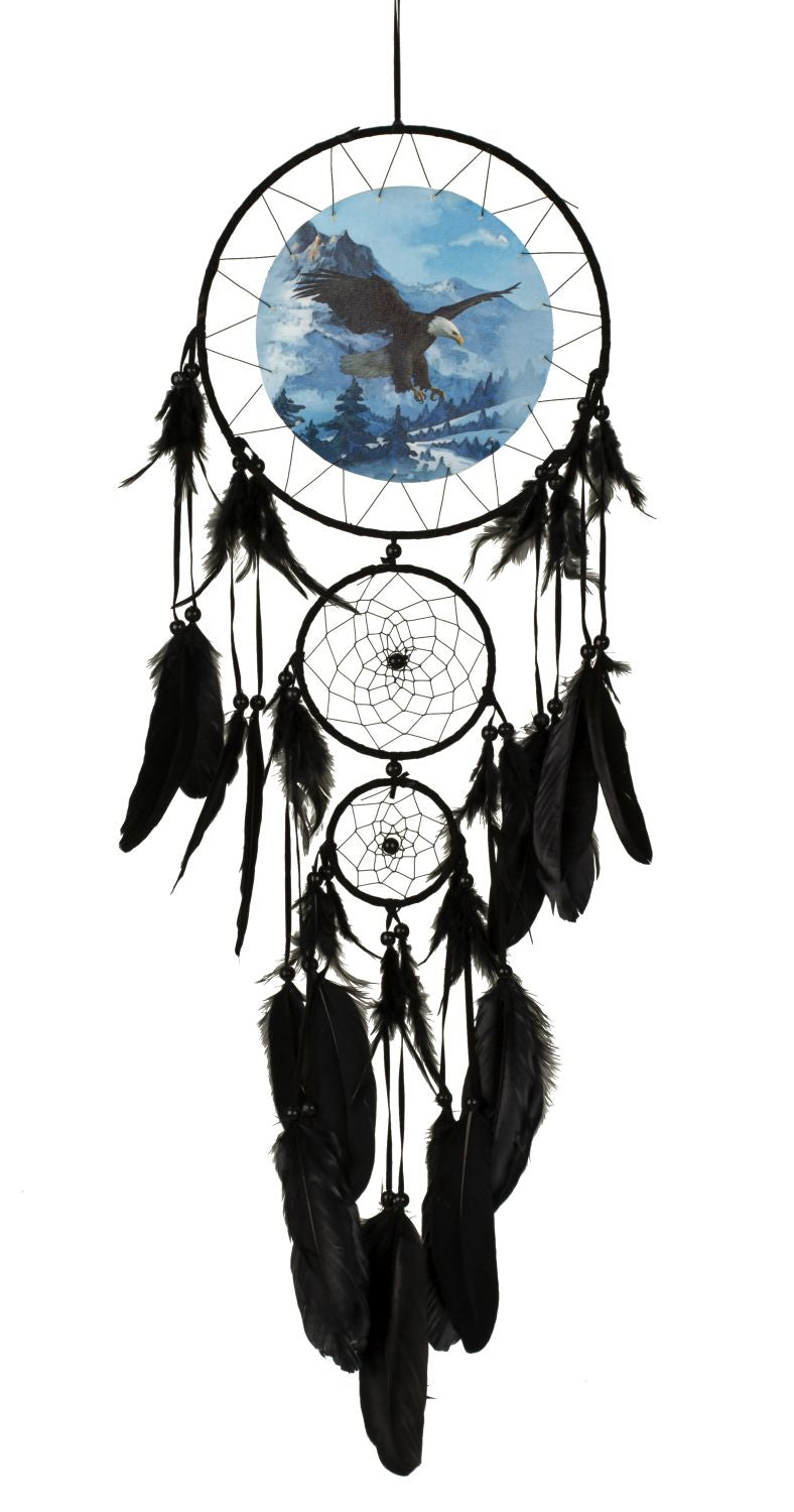 Dreamcatcher - "White tailed Eagle"